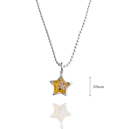 Ashes Star Pendant Necklace